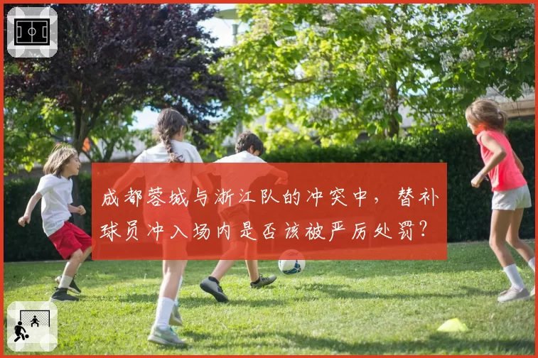 成都蓉城与浙江队的冲突中，替补球员冲入场内是否该被严厉处罚？