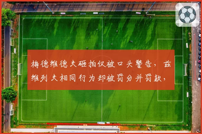 梅德维德夫砸拍仅被口头警告,兹维列夫相同行为却被罚分并罚款,ATP处罚尺度不一