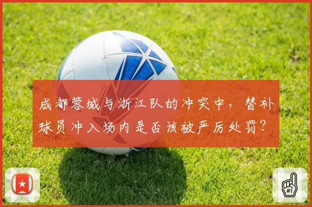 成都蓉城与浙江队的冲突中,替补球员冲入场内是否该被严厉处罚?