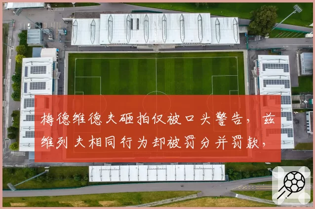 梅德维德夫砸拍仅被口头警告,兹维列夫相同行为却被罚分并罚款,ATP处罚尺度不一